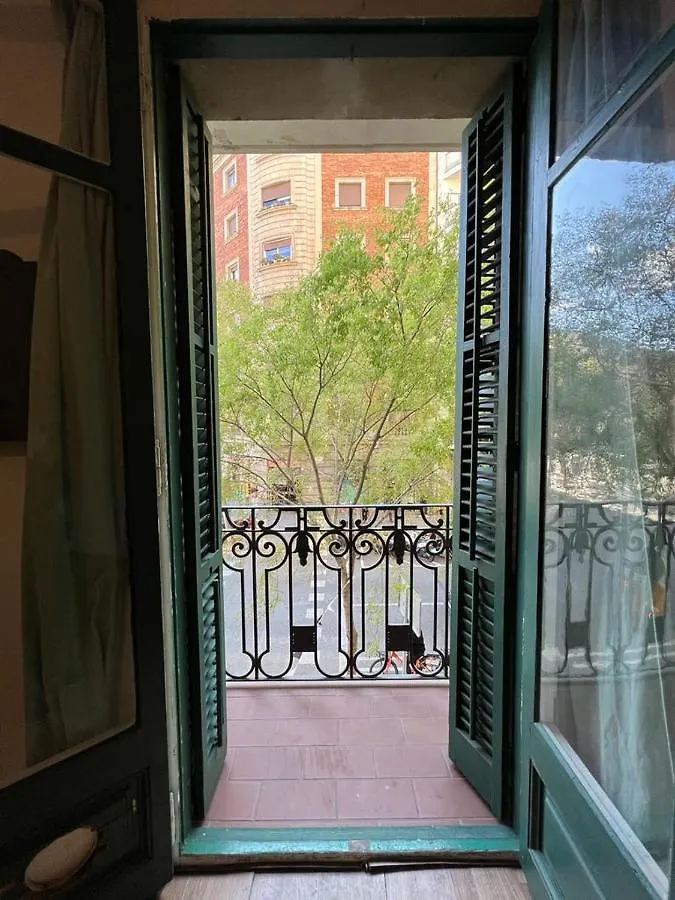 Big And Bright Apartment Bcn Barcelona